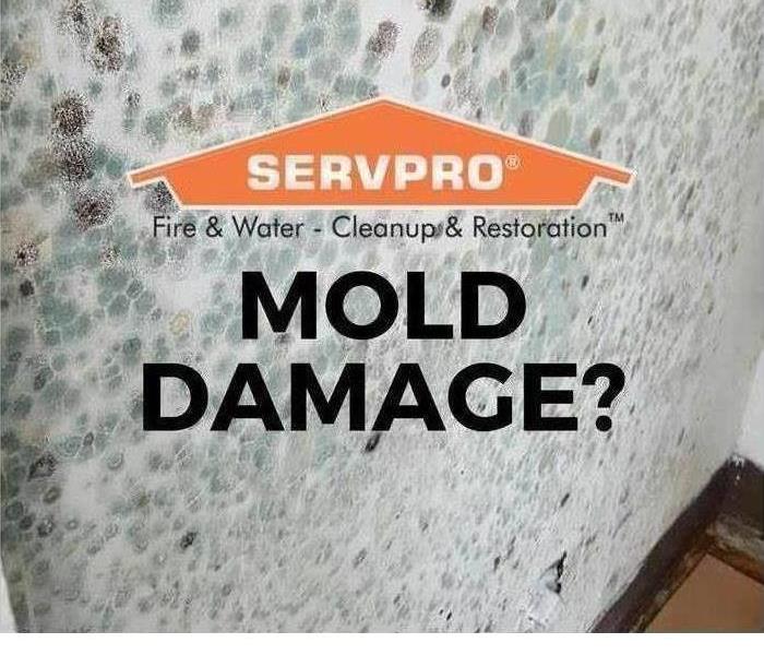SERVPRO logo with "Mold Damage?" lettering