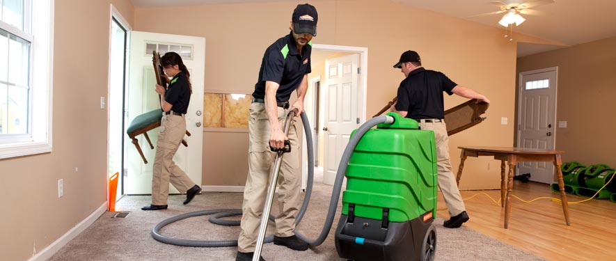 Tarzana, CA cleaning services