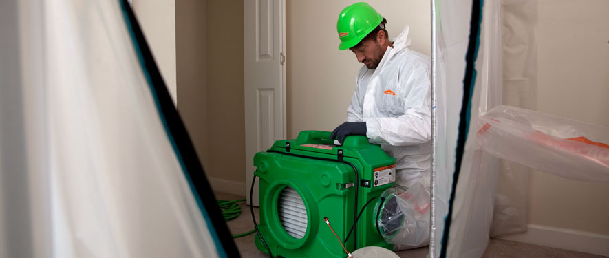 Tarzana, CA mold cleanup