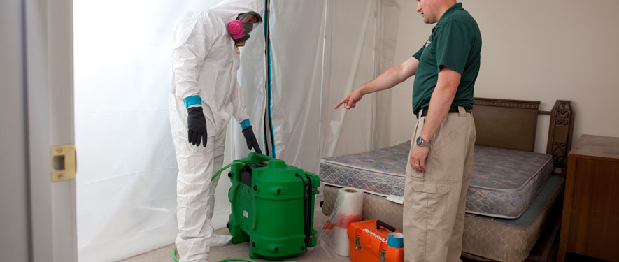 Tarzana, CA mold removal process